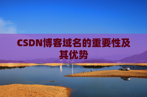 CSDN博客域名的重要性及其优势